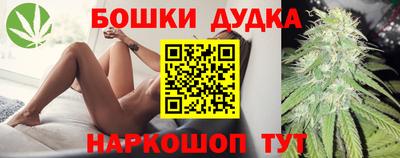 МДПВ Будённовск
