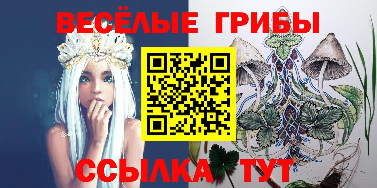 Галлюциногенные грибы мицелий  Вход с VPN  Реж  Псилоцибиновые грибы Magic Shrooms 